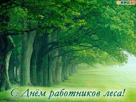 Открытка День работников леса - С Днём работников леса: открытка с зелёной аллеей | Красивая открытка #12