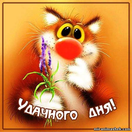 Открытка открытки с пожеланиями удачного дня  - Открытка с рыжим котом на день рождения | Красивая открытка #21