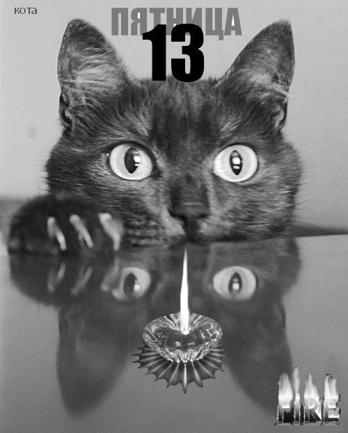 Открытка Открытки на пятницу 13 - Черно-белая открытка: кот и свеча | Красивая открытка #59