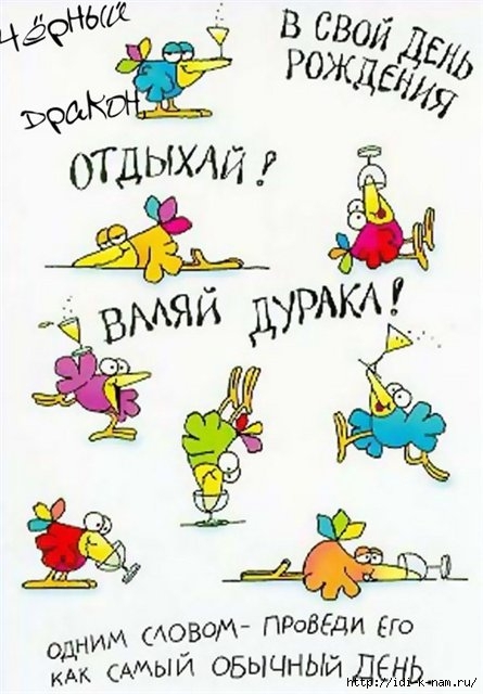 Открытка открытки с приколами на день рождения  - Открытка с птичками: Веселая поздравительная открытка | Красивая открытка #1