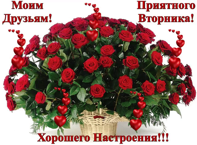 Открытка Открытки на вторник - Открытка с красными розами в плетёной корзине | Красивая открытка #13