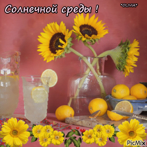 Открытка Открытки на среду - Лимонад и подсолнухи: летнее настроение | Красивая открытка #144