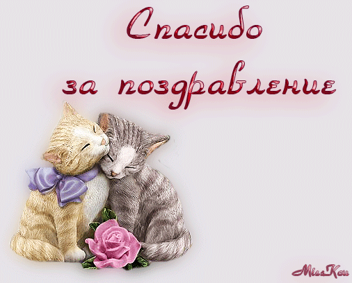 Открытка открытки с благодарностью  - Открытка с котами: милые котята, розовые розы | Красивая открытка #120