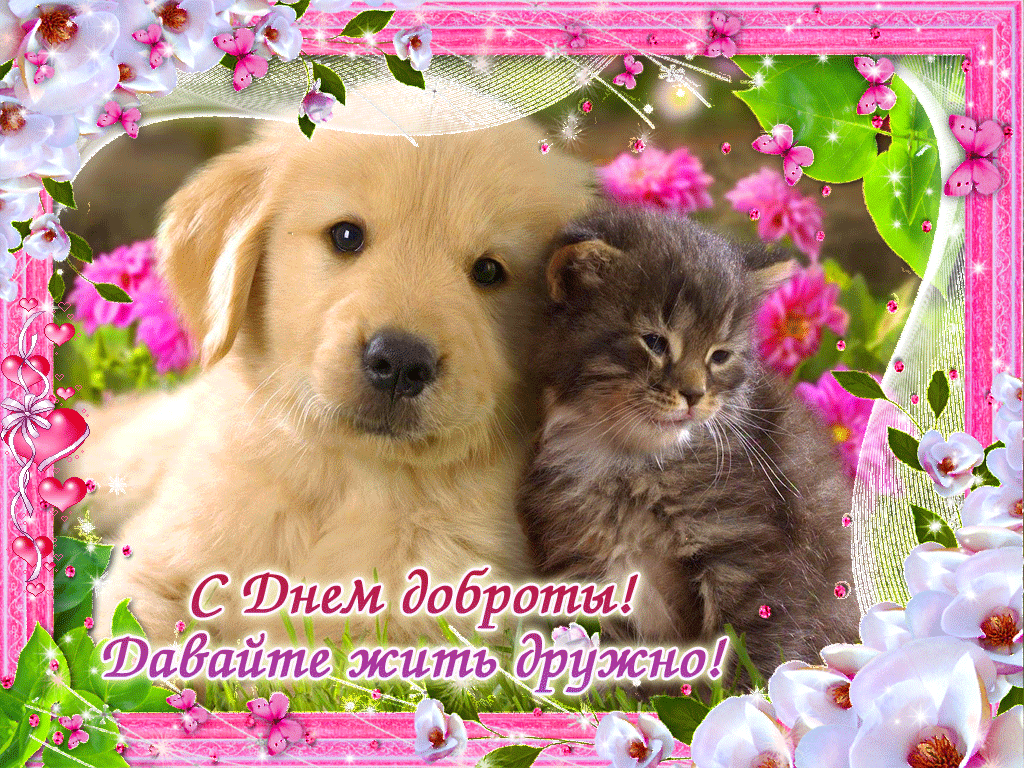 Открытка День доброты - Открытка: щенок и котенок, цветы | Красивая открытка #118