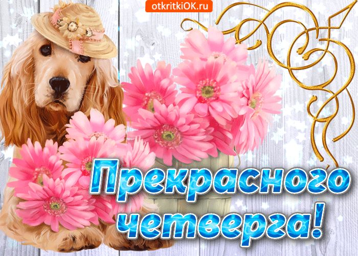 Открытка С четвергом - Открытка: милая собачка в шляпе | Красивая открытка #18