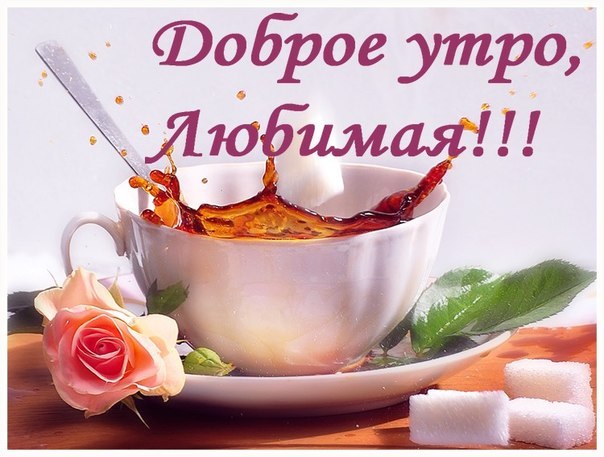 Открытка открытки с добрым утром - Открытка с чашкой кофе, розой и сахаром | Красивая открытка #222
