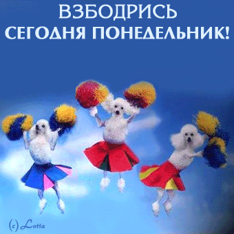 Открытка Открытки на понедельник - Открытка с щенками-спортерами, танцующими в небе | Красивая открытка #167
