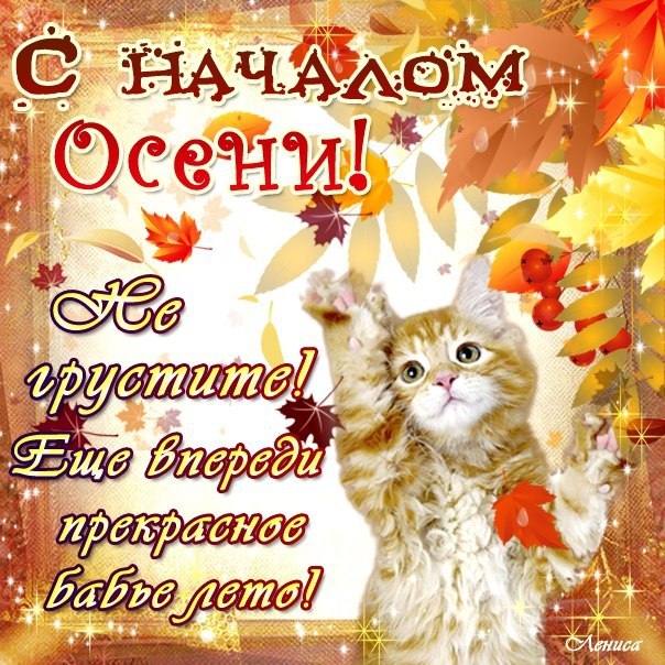 Открытка открытки с первым осенним днем  - Открытка с котиком на осенний день | Красивая открытка #3