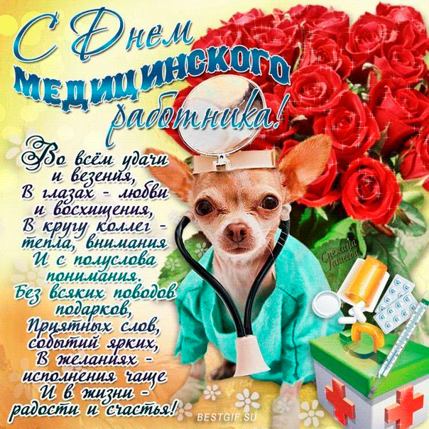 Открытка День медика - Открытка с котиком доктором: поздравления и пожелания | Красивая открытка #33