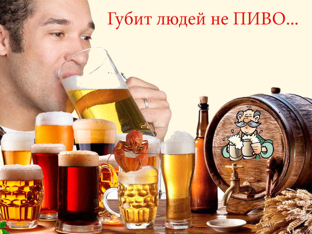 Открытка День пивовара - Открытка с пивом: мужчина пьет пиво, бочки, кружки | Красивая открытка #50