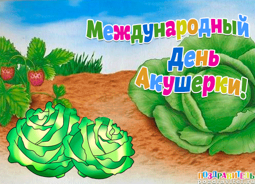 Открытка Открытки с днем акушерки - Открытка с клубникой и капустой | Красивая открытка #14