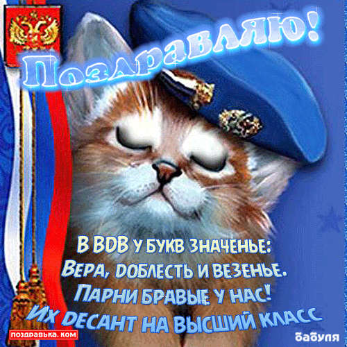 Открытка День ВДВ - Поздравление с Днём ВДВ: Героический кот в берете | Красивая открытка #26