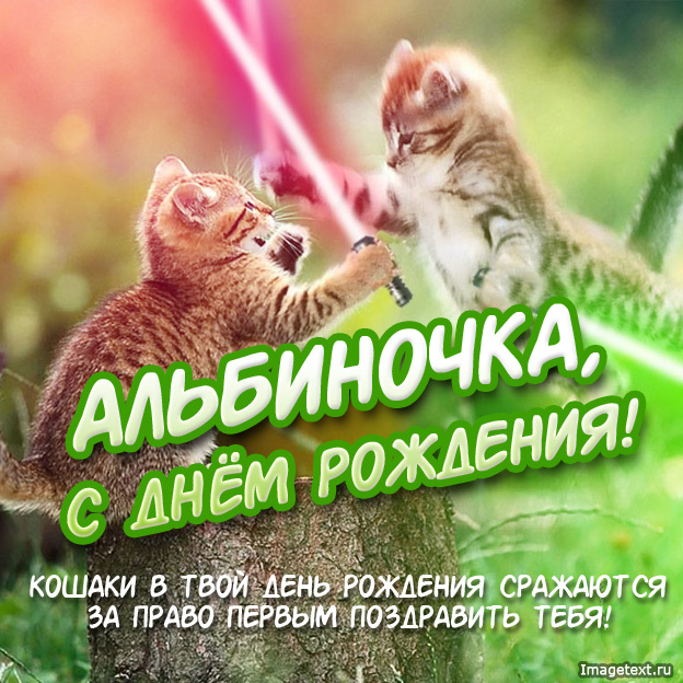 Открытка открытки с именем Альбина  - Два котенка обнимаются. Открытка с днем рождения | Красивая открытка #17