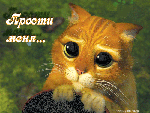 Открытка открытки с извинениями  - Кот в слезах: смешная открытка с котом  Gifzona | Красивая открытка #52