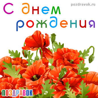 Открытка С маком - Открытка с красными маками и надписью | Красивая открытка #2