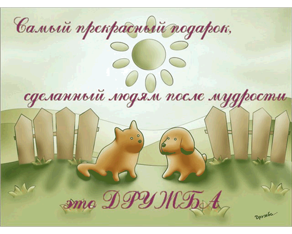 Открытка День друзей - Две кошки на фоне забора и солнца. Открытка. | Красивая открытка #78