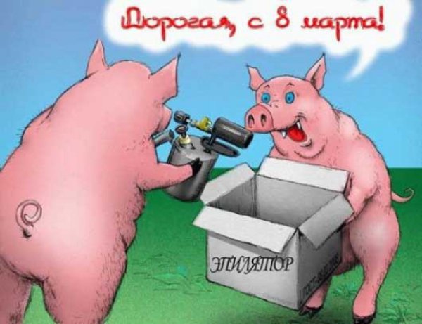 Открытка открытки с приколами на 8 марта - Свинья с коробкой и баллончиком. Открытка | Красивая открытка #15
