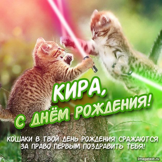 Открытка открытки с именем Кира - Открытка с котятами: С Днём Рождения! | Красивая открытка #11