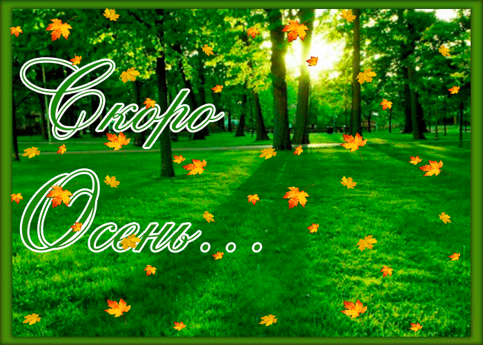 Открытка Открытки осенняя пора - Осенний лес, солнце сквозь деревья, открытка | Красивая открытка #47