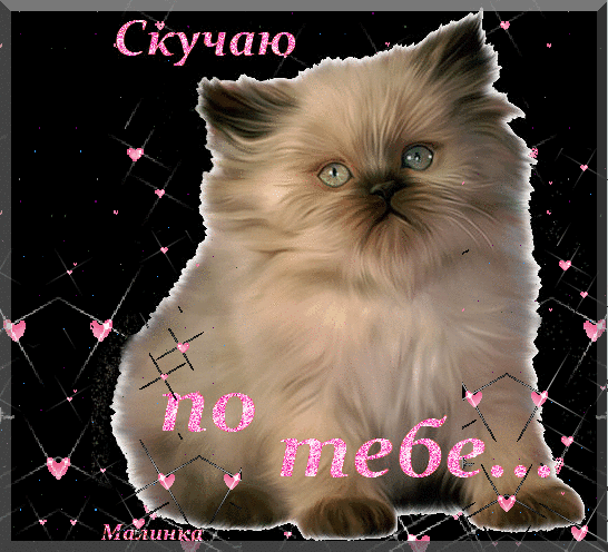 Открытка Скучаю - Милый котенок на открытке с надписью | Красивая открытка #28