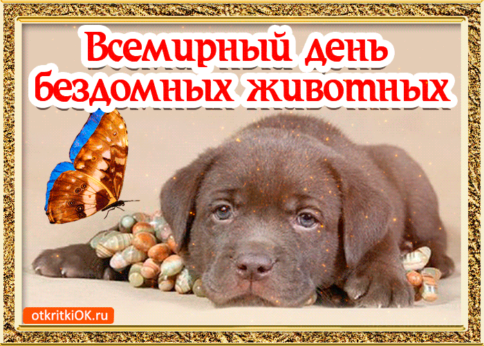 Открытка Открытки на Всемирный день домашних животных - Открытка с щенком и бабочкой - поздравления | Красивая открытка #25
