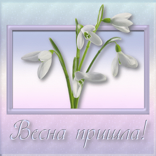 Открытка Открытки весенняя пора - Открытка: Весенние подснежники  символ тепла и надежды | Красивая открытка #213