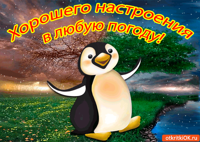 Открытка Картинки про погоду - Открытка с пингвином на фоне природы | Красивая открытка #43