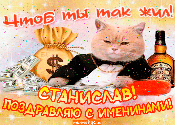 Открытка Открытки с именем Станислав  - Открытка с котиком, деньгами и виски | Красивая открытка #186