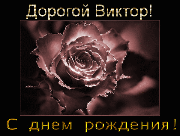 Открытка открытки с именем Виктор - Открытка с розой: С Днем Рождения! | Красивая открытка #13