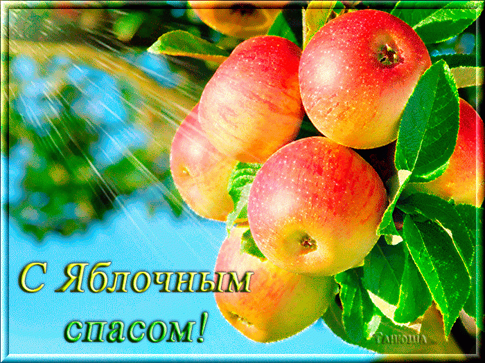 Открытка Яблочный спас - Открытка с яблоками: С днем с яблочным спасом! | Красивая открытка #40