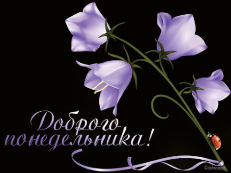 Открытка Открытки на понедельник - Открытка с фиалками и божьей коровкой. | Красивая открытка #89