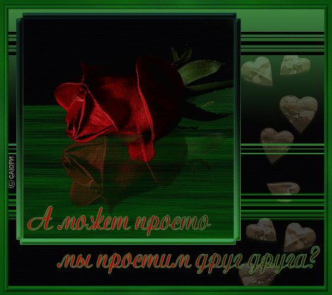Открытка Давай мириться - Красная роза на темном фоне: открытка с признанием | Красивая открытка #19