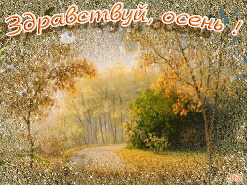 Открытка Открытки осенняя пора - Осенний лес: открытка с золотой аллеей | Красивая открытка #104