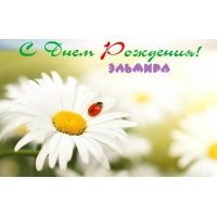 Открытка открытки с именем Эльмира - Открытка: Поле с ромашками и божьей коровкой | Красивая открытка #9