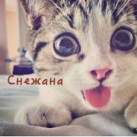 Открытка открытки с именем Снежана - Смешной котенок: открытка с милым котиком | Красивая открытка #10