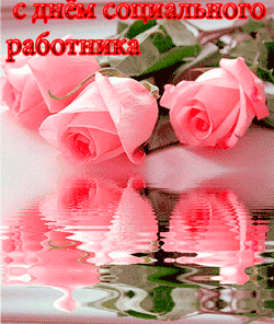 Открытка С днём социального работника - Розовые розы на открытке: нежные цветы для вас | Красивая открытка #60