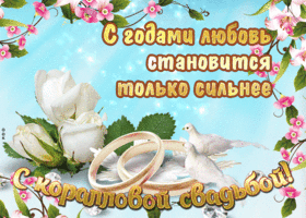 Открытка 35 лет - полотняная свадьба - Свадебная открытка: Голубые розы, голуби и кольца | Красивая открытка #20