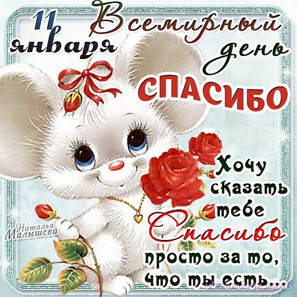 Открытка Открытки с днем спасибо - Открытка с котенком и цветами | Красивая открытка #45