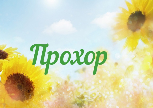 Открытка Открытки с именем Прохор  - Открытка с подсолнухами на голубом фоне | Красивая открытка #5
