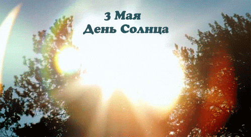 Открытка Открытки с днем солнца - Солнце сквозь листву: открытка с праздничным настроением | Красивая открытка #23