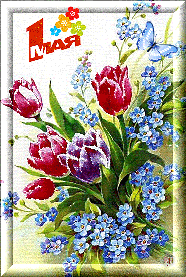 Открытка 1 мая - Открытка: Красные тюльпаны и голубые незабудки | Красивая открытка #346