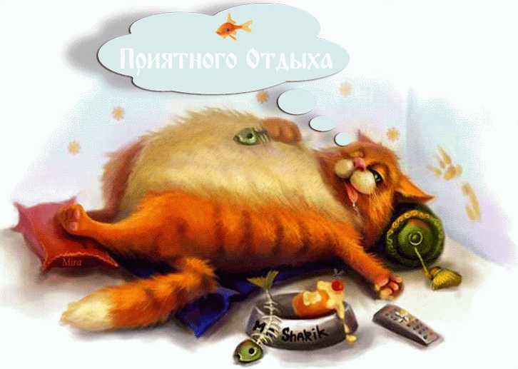 Открытка Открытки хорошего отдыха - Рыжий кот отдыхает: открытка с изображением кота | Красивая открытка #82