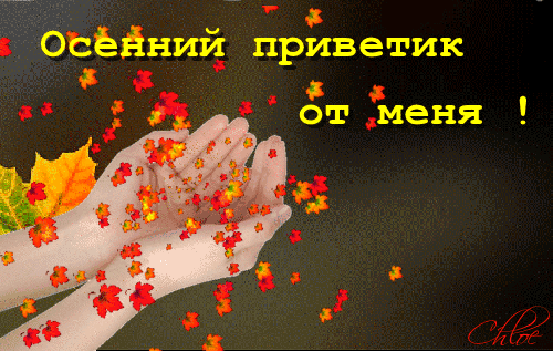 Открытка Осенний приветик - Осенние листья в руках: открытка с добрым приветом | Красивая открытка #31