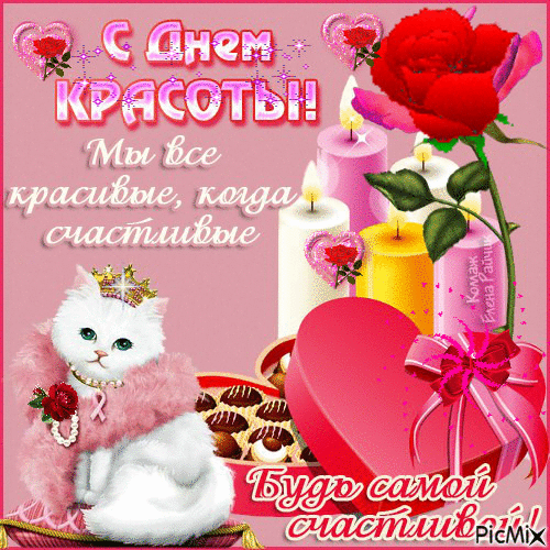 Открытка Открытки с днем красоты - Открытка с котенком и конфетами | Красивая открытка #38