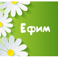 Открытка открытки с именем Ефим - Открытка с ромашками и надписью «Ефим» | Красивая открытка #14