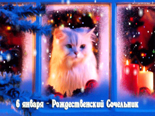 Открытка Открытки на Рождественский Сочельник  - Открытка с котенком на Новый год - Снежный котенок | Красивая открытка #53