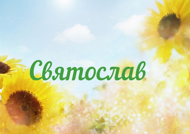 Открытка Открытки с именем Святослав  - Подсолнухи на фоне голубого неба | Красивая открытка #17