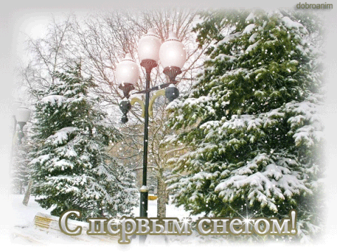 Открытка С первым снегом - Заснеженный парк: зимняя открытка с фонарями | Красивая открытка #69