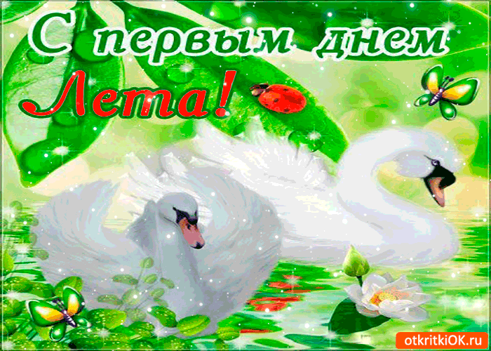 Открытка открытки с первым днем лета  - Открытка с лебедями: нежные поздравления | Красивая открытка #38