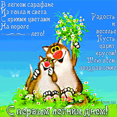 Открытка Первый день лета - С Днем! Открытка с котенком и цветами | Красивая открытка #87